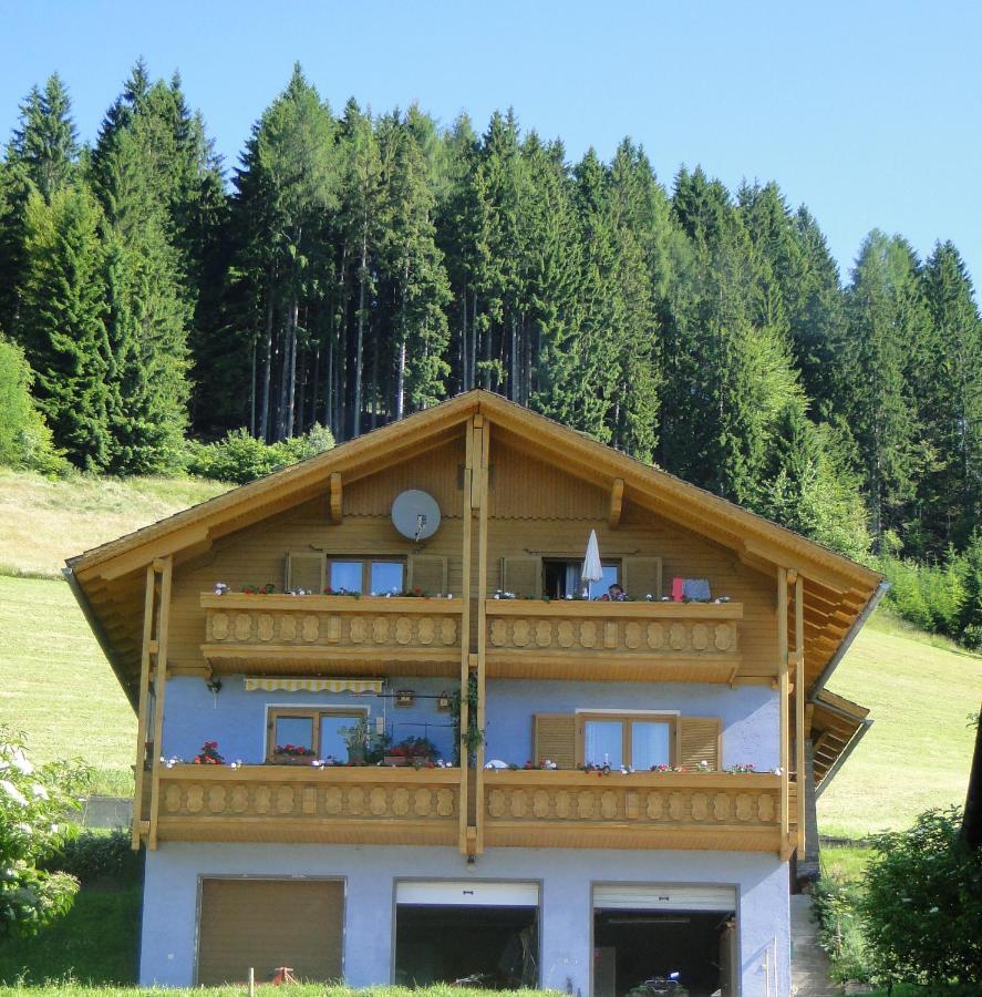 Bergbauernhof Schluder Apartment Hermagor-Pressegger See Bagian luar foto