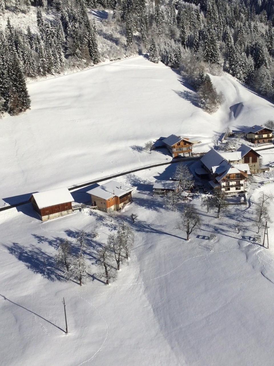 Bergbauernhof Schluder Apartment Hermagor-Pressegger See Bagian luar foto