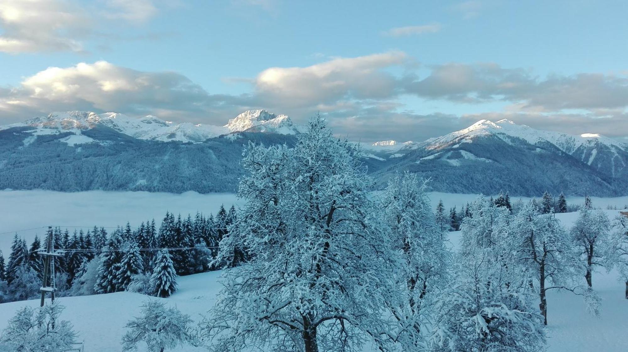 Bergbauernhof Schluder Apartment Hermagor-Pressegger See Bagian luar foto