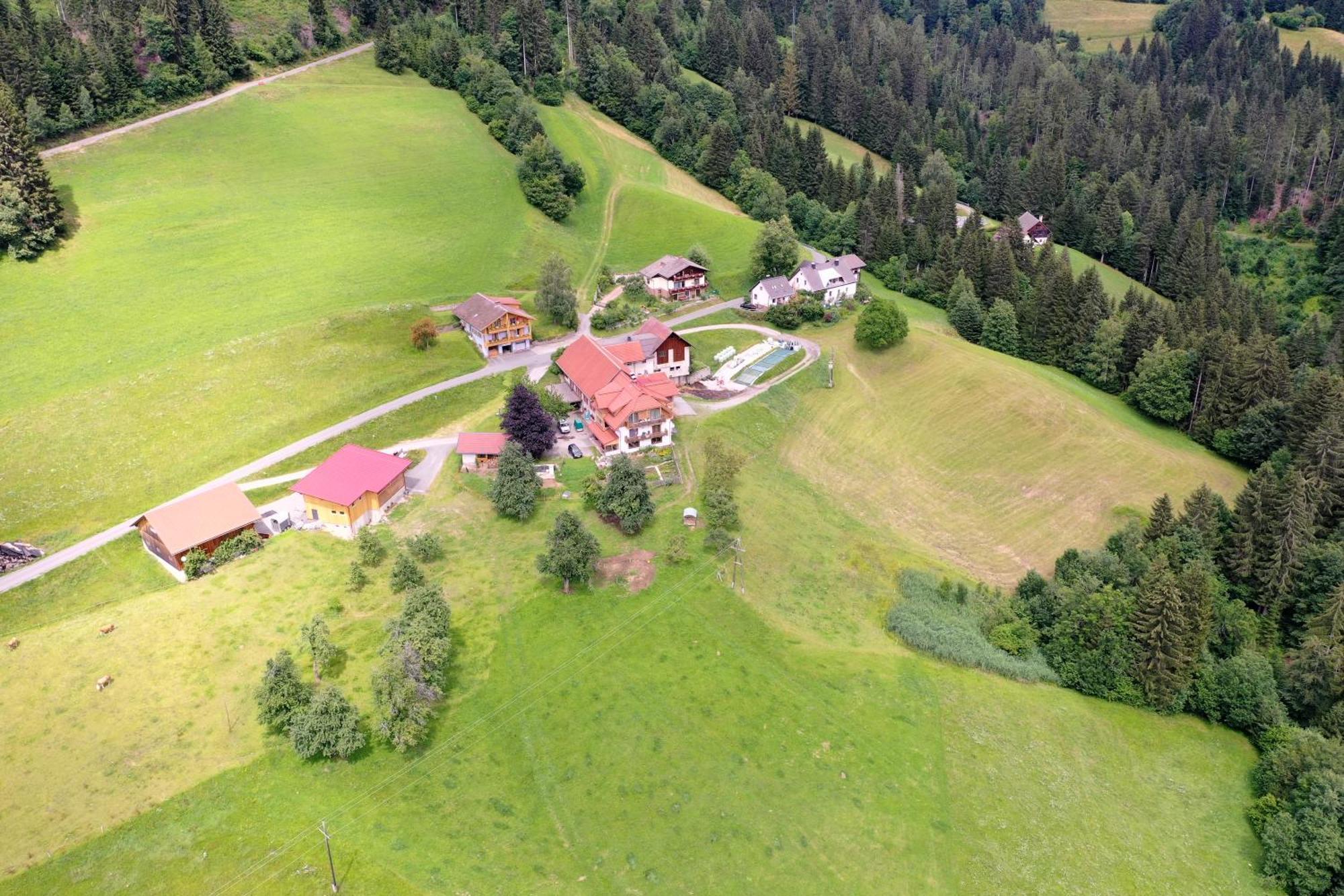 Bergbauernhof Schluder Apartment Hermagor-Pressegger See Bagian luar foto